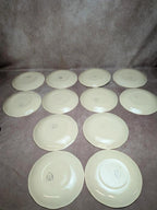 12 assiettes plates Terre de fer Salins décor bleu nuagé