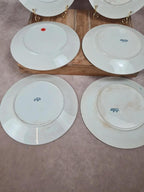 Lot de 6 assiettes plates Badonviller – modèle “oriental” 🩵