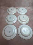 Lot de 6 assiettes creuses Terre de Fer Hippolyte Boulenger Choisy-le-roi modèle Rochambeau