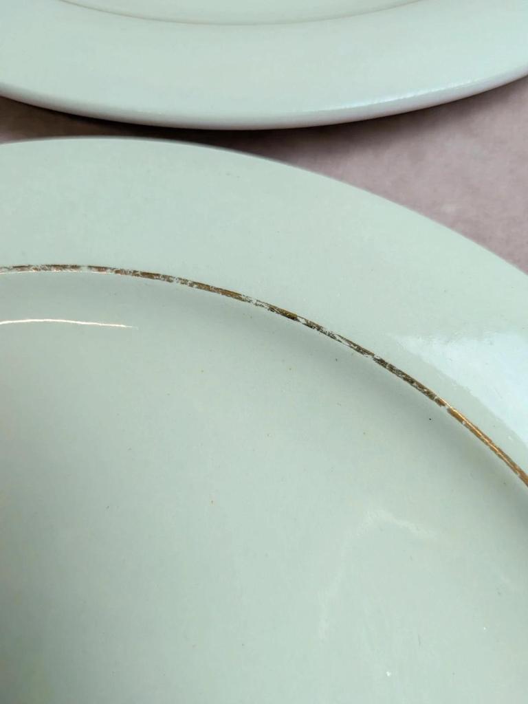 Lot de 6 assiettes plates Opaceline Salins vintage