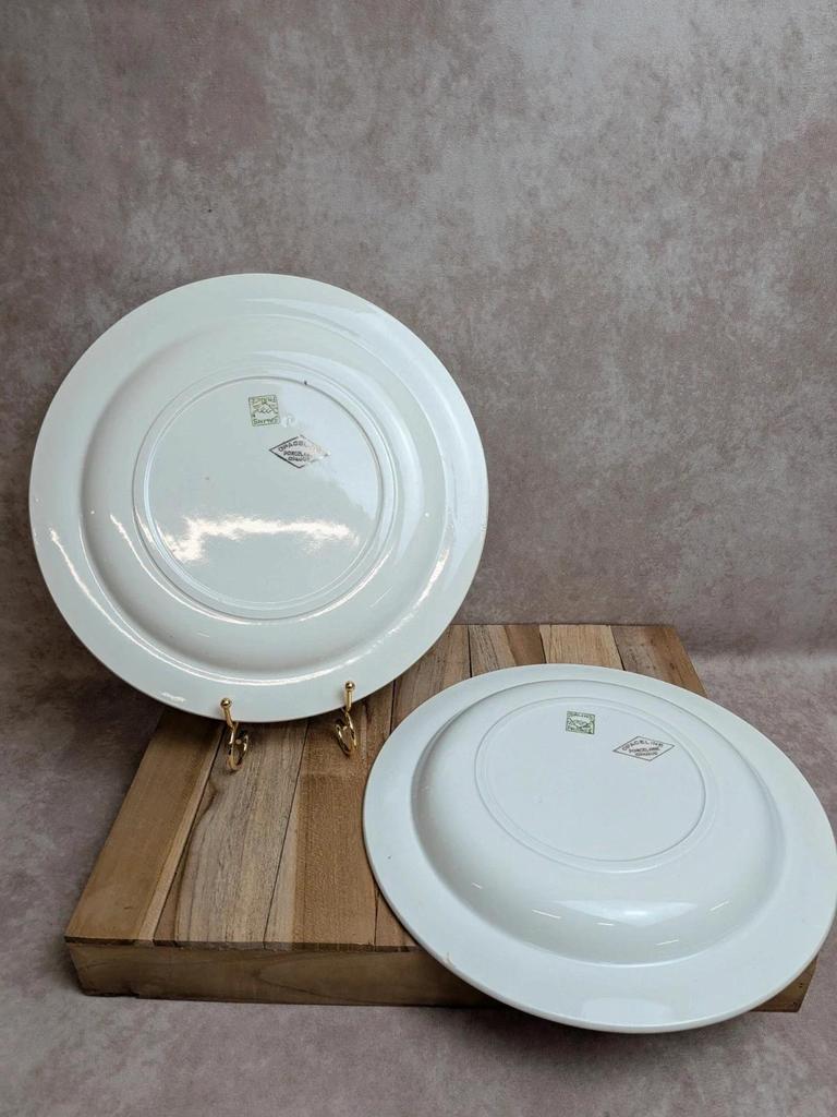 Lot de 2 plats ronds Opaceline Salins liseré doré vintage
