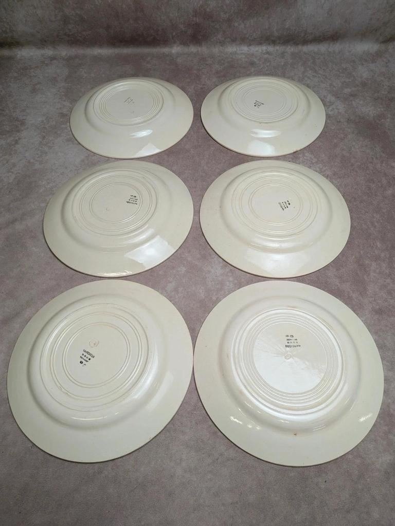 Lot de 6 assiettes terre de fer Hbcm Narcisse décor floral marron