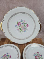 💐 Charmant service à gâteau Digoin & Sarreguemines, Modèle Lilitia, 6 assiettes + 1 grand plat