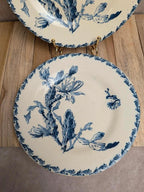 Lot de 2 assiettes anciennes Terre de Fer Gien – modèle Cactus