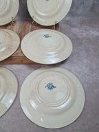 Lot de 6 assiettes plates anciennes – Vieillard & Cie Bordeaux, modèle Clématite 💙 Terre de Fer