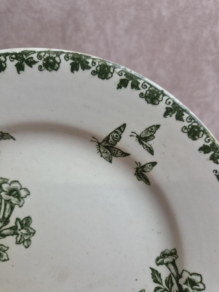 Assiette plate terre de fer Saint-amand – Modèle Denise – Décor vert