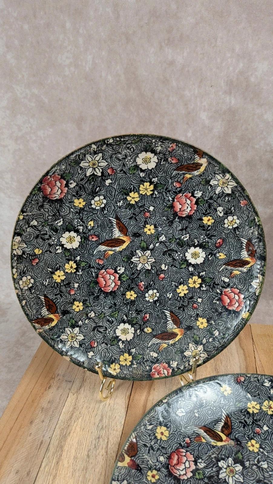 Lot de 2 assiettes anciennes Delton Ware motif oiseaux & fleurs