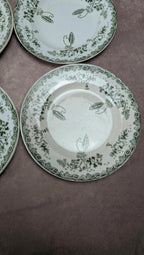 Lot 12 assiettes plates Terre de Fer Saint-amand modèle Modern Style 22 cm