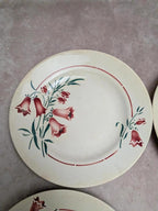 Assiettes plates terre de fer L’amandinoise Peg