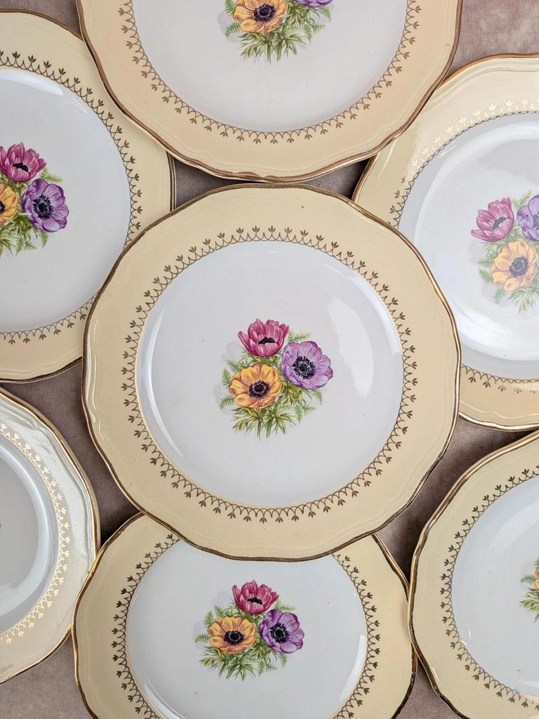Lot de 10 assiettes à dessert L’amandinoise Coopélia vintage