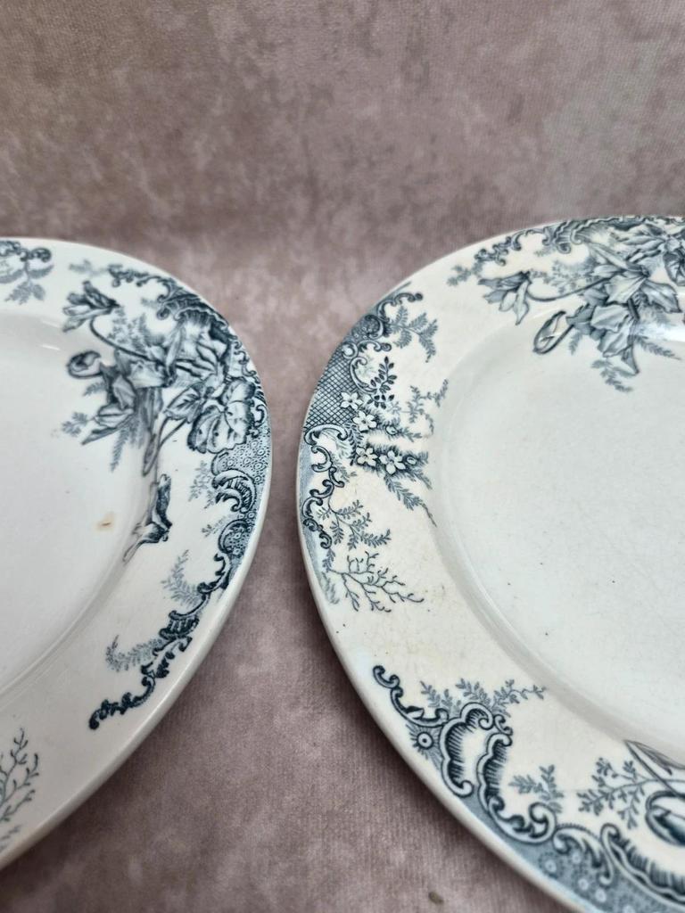 Lot de 12 assiettes Terre de Fer Clairefontaine Cyclamens