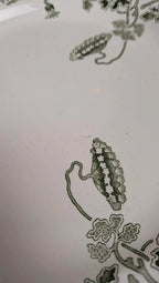 Lot 12 assiettes plates Terre de Fer Saint-amand modèle Modern Style 22 cm