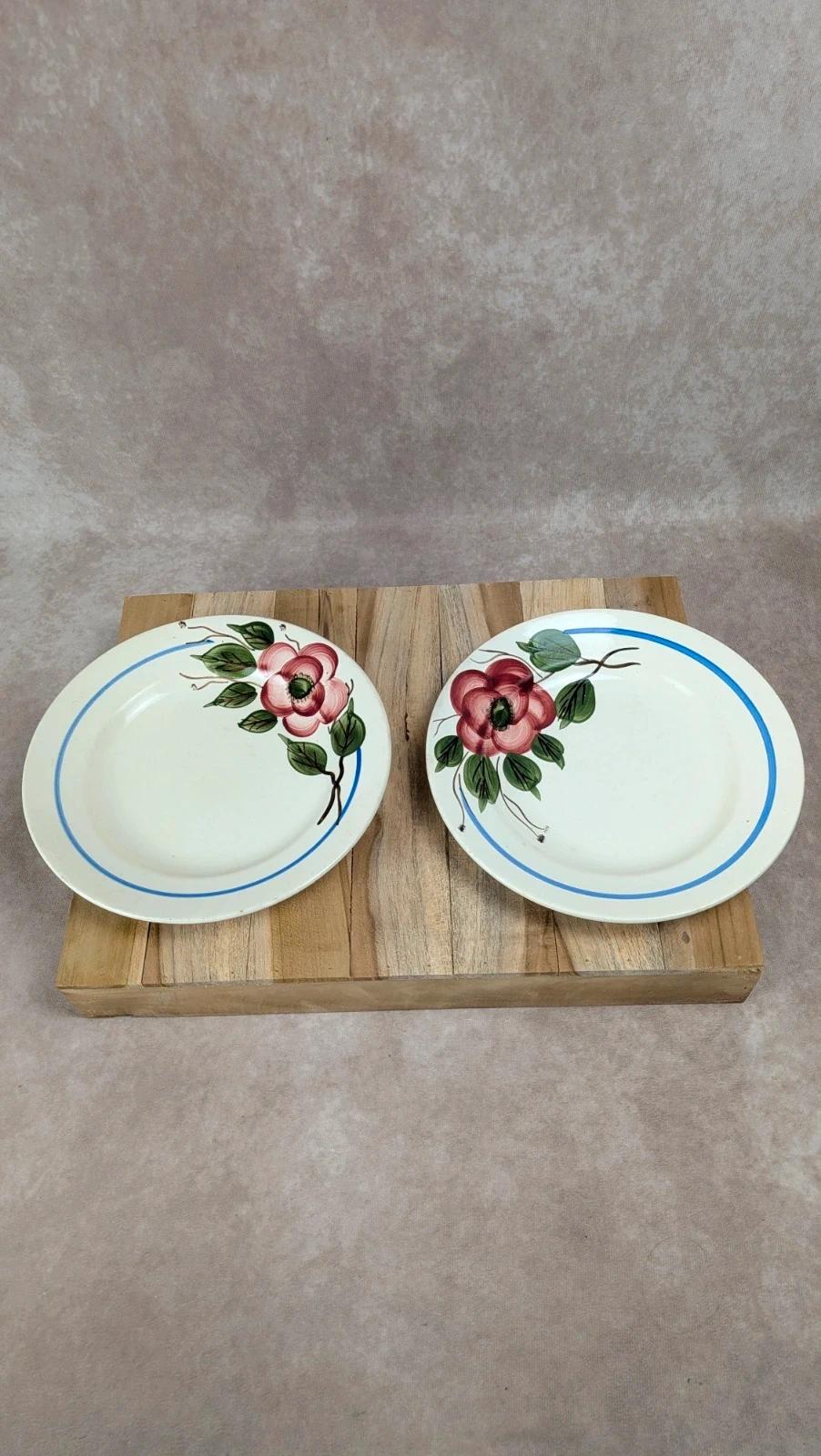 Lot de 2 assiettes plates Sarreguemines modèle Liliane