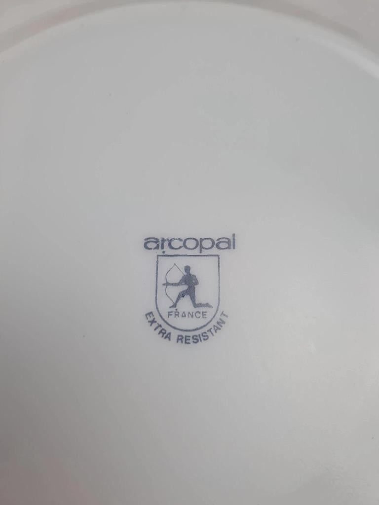 Lot de 10 assiettes vintage Arcopal – Modèle Myosotis