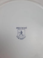 Lot de 10 assiettes vintage Arcopal – Modèle Myosotis