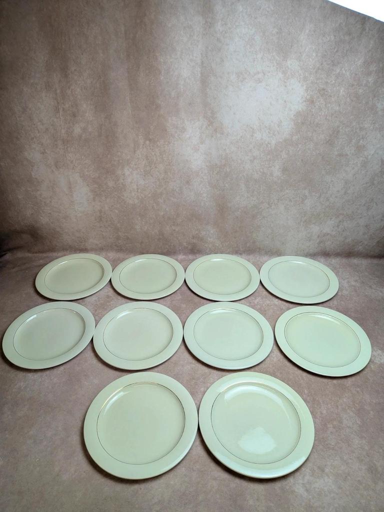 Lot de 10 assiettes plates Opaceline Salins liseré doré vintage