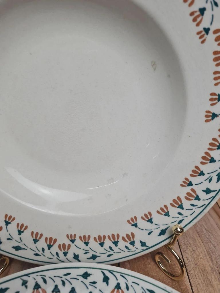 Lot de 2 assiettes creuses Kg Lunéville modèle Moselle 🌿🍂 terre de fer