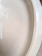 Saucière ancienne en terre de fer Salins – Décor libellule sépia – Avec couvercle