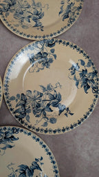 Lot de 5 assiettes plates anciennes Vieillard & Cie Bordeaux, décor Clématite