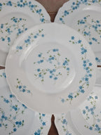 Lot de 10 assiettes vintage Arcopal – Modèle Myosotis