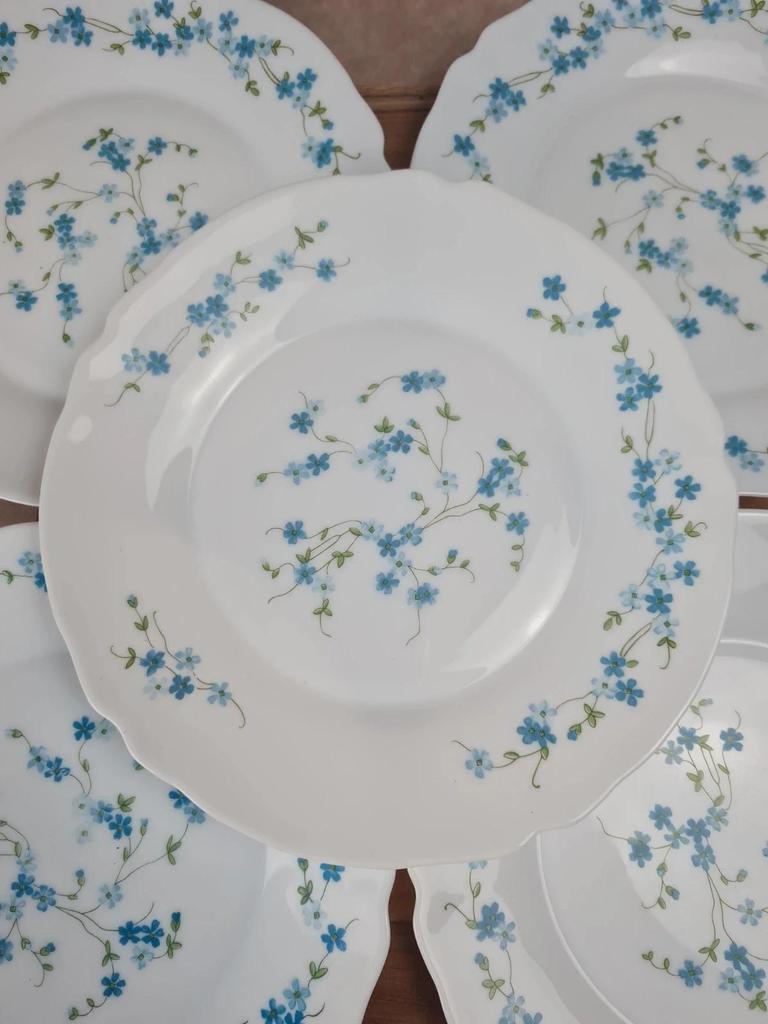 Lot de 10 assiettes vintage Arcopal – Modèle Myosotis