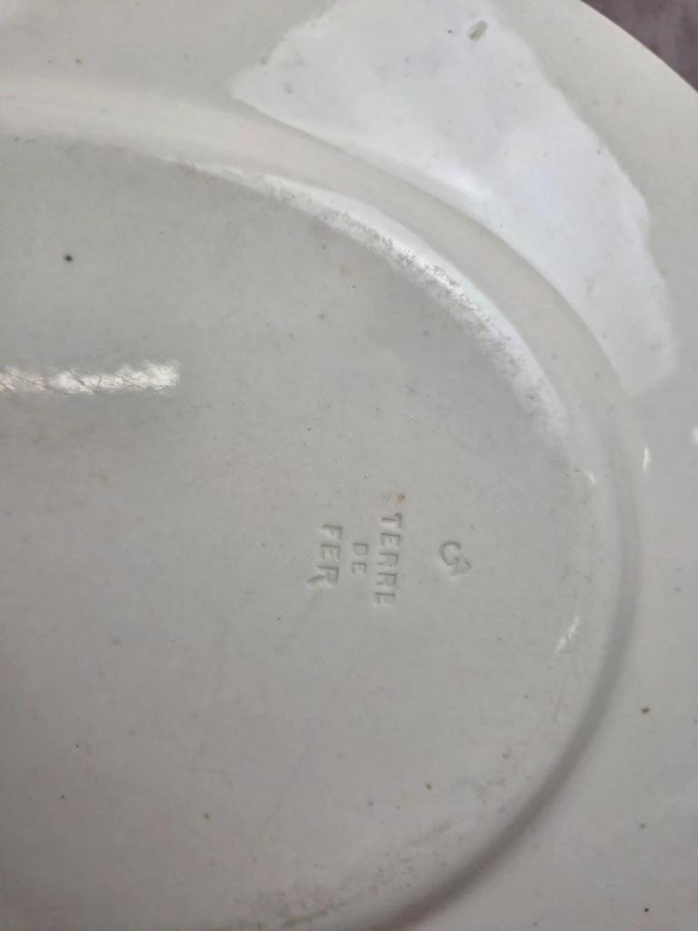 Grand plat ovale Terre de Fer Creil et Montereau Linotte – Xixe
