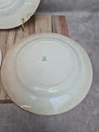Assiettes Terre de Fer Creil & Montereau Linotte oiseaux vert – lot de 3 anciennes