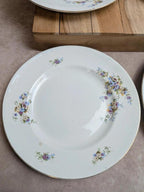 Lot de 4 assiettes plates en terre de fer Hamage Nord – Fleurs polychromes et dorures