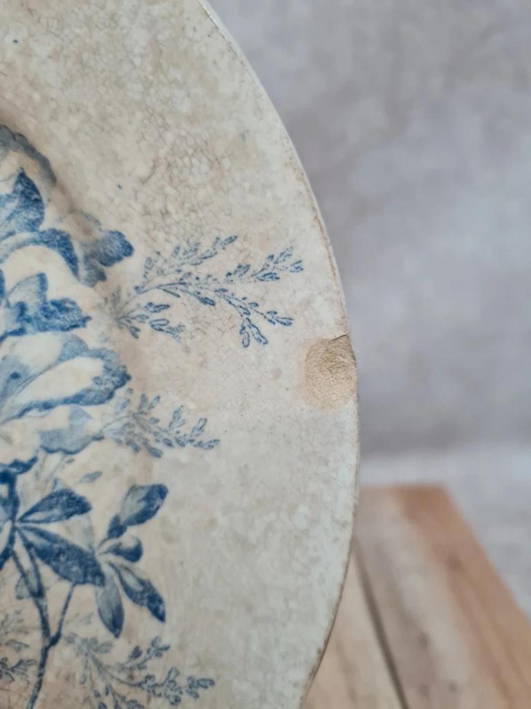 Assiette ancienne terre de fer décor floral bleu romantique pivoine fleurs Xixe
