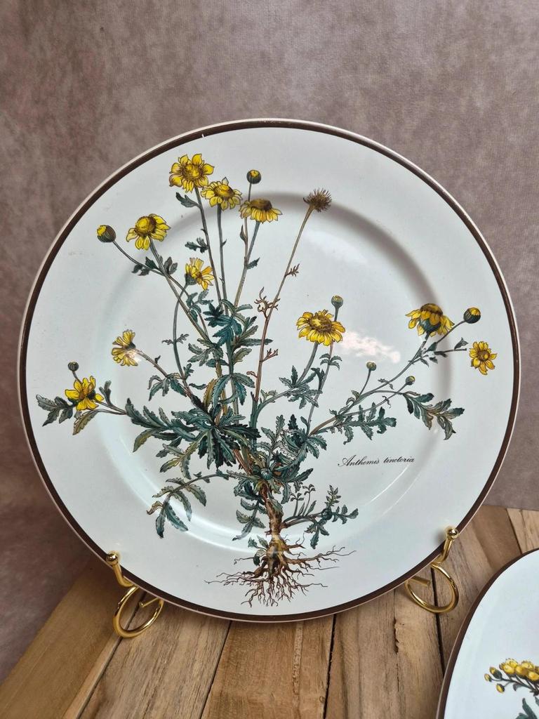 Lot 2 plats Villeroy & Boch Botanica – vitro-porcelaine – Luxembourg