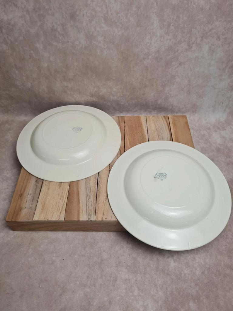 Lot de 2 assiettes creuses anciennes Terre de Fer Salins modèle Celtic 💙