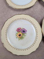 Lot de 10 assiettes à dessert L’amandinoise Coopélia vintage
