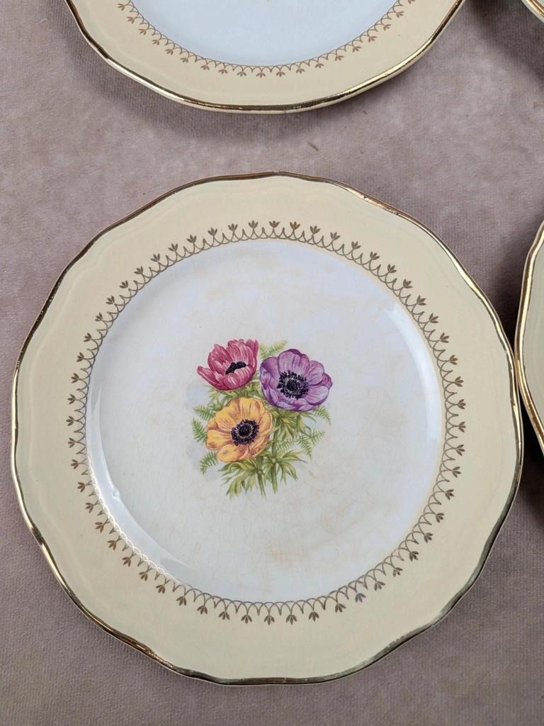 Lot de 10 assiettes à dessert L’amandinoise Coopélia vintage