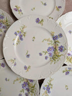 lot de 12 assiettes à dessert en porcelaine de Limoges Gda France – décor floral