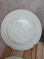 Lot 4 assiettes à dessert anciennes Terre de Fer décor œillet bleu 💙