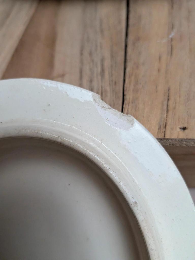Saucière ancienne en terre de fer Salins – Décor libellule sépia – Avec couvercle
