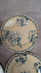 Lot de 5 assiettes plates anciennes Vieillard & Cie Bordeaux, décor Clématite