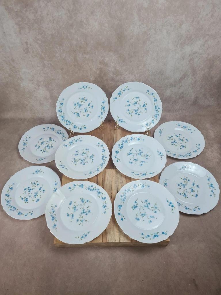 Lot de 10 assiettes vintage Arcopal – Modèle Myosotis