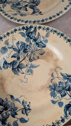 Lot de 5 assiettes plates anciennes Vieillard & Cie Bordeaux, décor Clématite