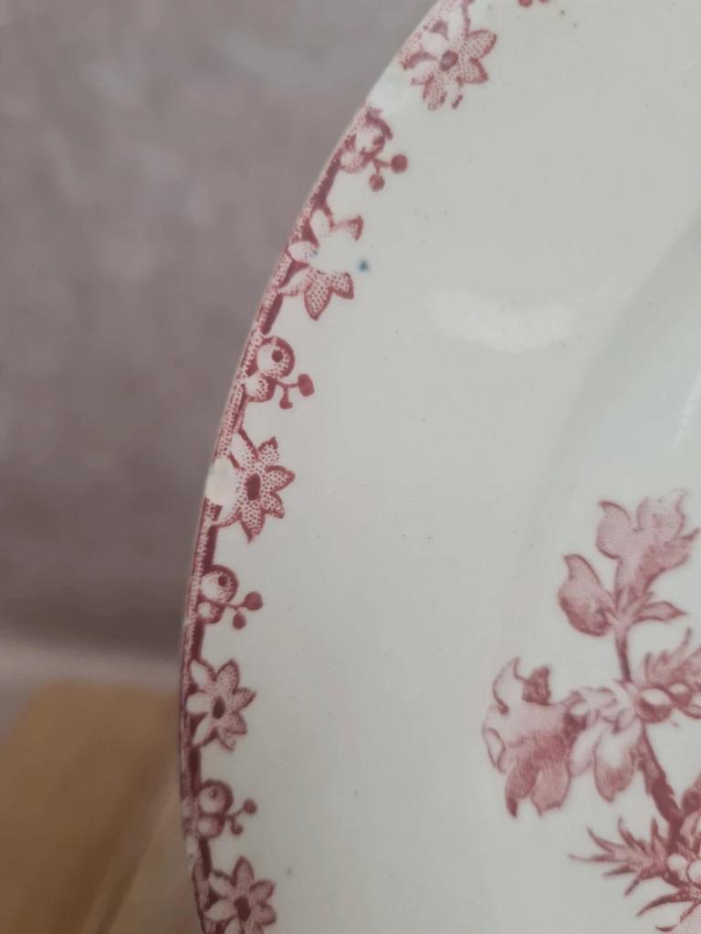 Assiette à dessert Sarreguemines modèle Favori décor oiseaux 🌿 terre de fer