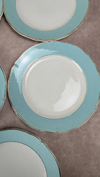 Lot de 5 assiettes plates anciennes Seranord Saint-amand – Modèle Chambord