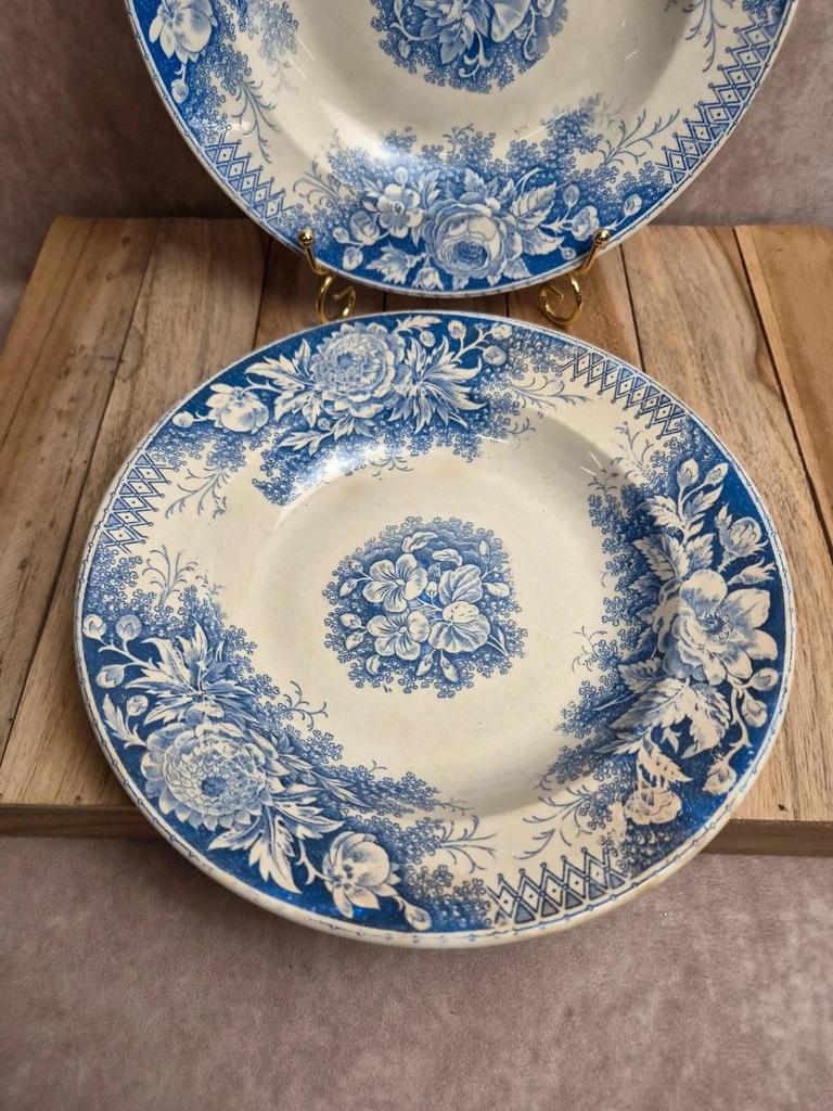 Lot de 2 assiettes creuses en terre de fer Sarreguemines – Modèle Jardinière – Décors variés