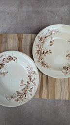 Lot de 2 assiettes creuses en terre de fer – Cie Franco-anglaise, Rue Turbigo 78 Paris 🤎