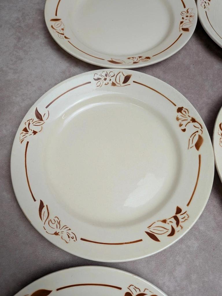 Lot de 6 assiettes terre de fer Hbcm Narcisse décor floral marron