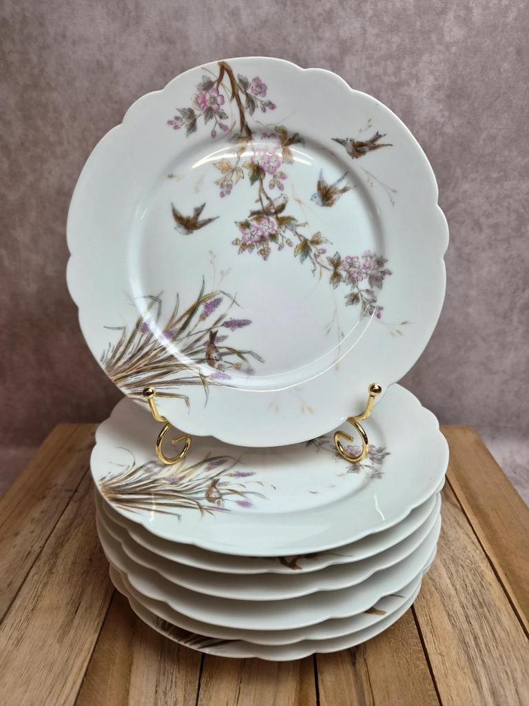 Lot de 7 assiettes anciennes en porcelaine – Décor oiseaux et fleurs polychromes