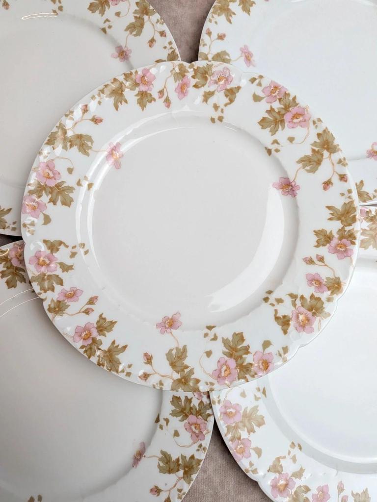 Lot de 6 assiettes vintage en porcelaine française – décor floral rose