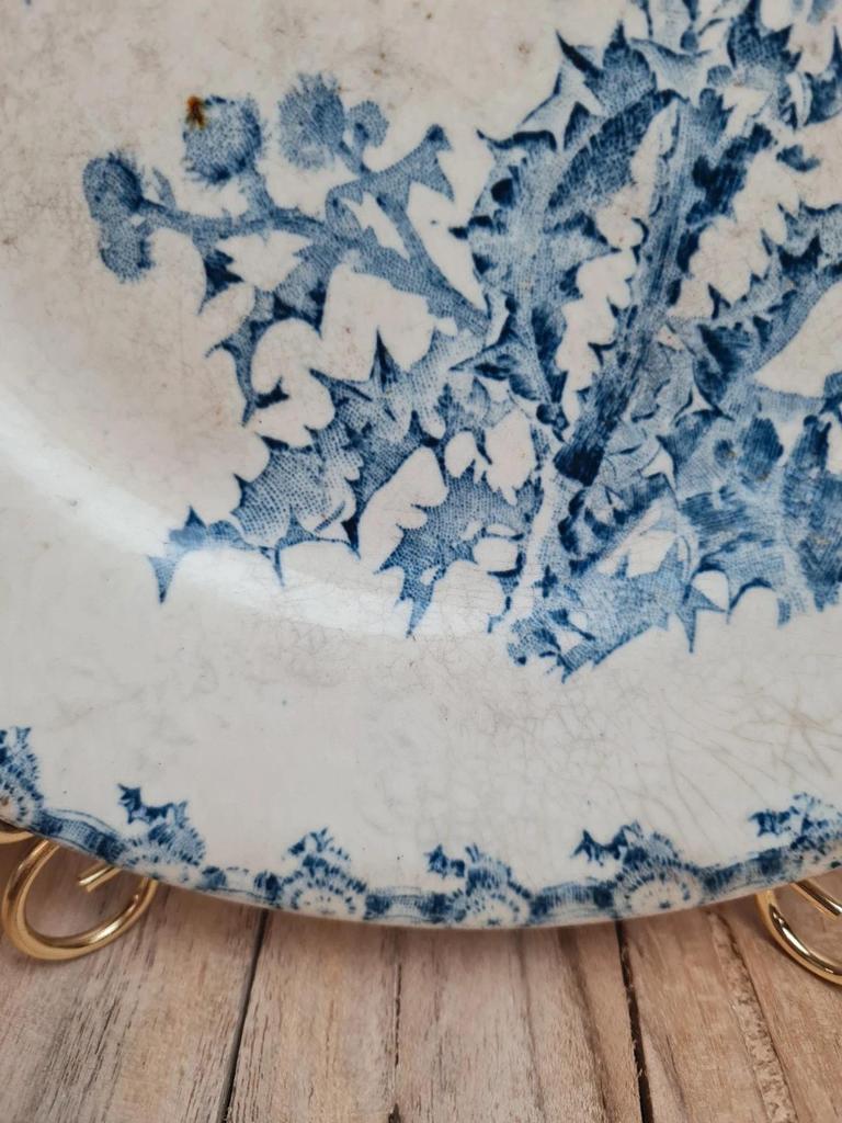 Assiette ancienne décor chardon bleu – esprit Terre de fer 🌿