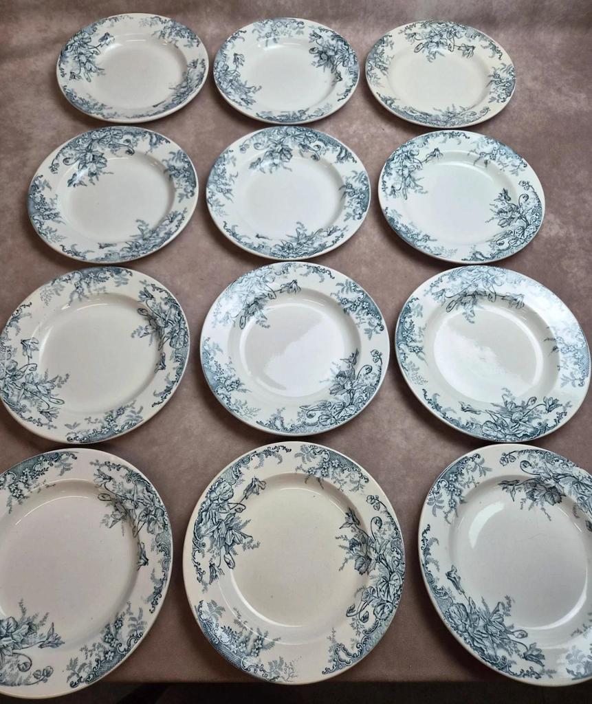 Lot de 12 assiettes Terre de Fer Clairefontaine Cyclamens
