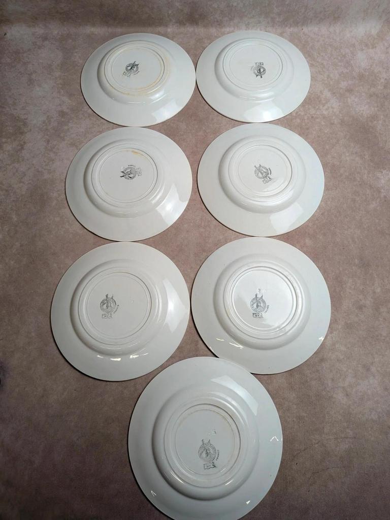 Lot de 7 assiettes plates terre de fer Moulin des Loups Fti 22