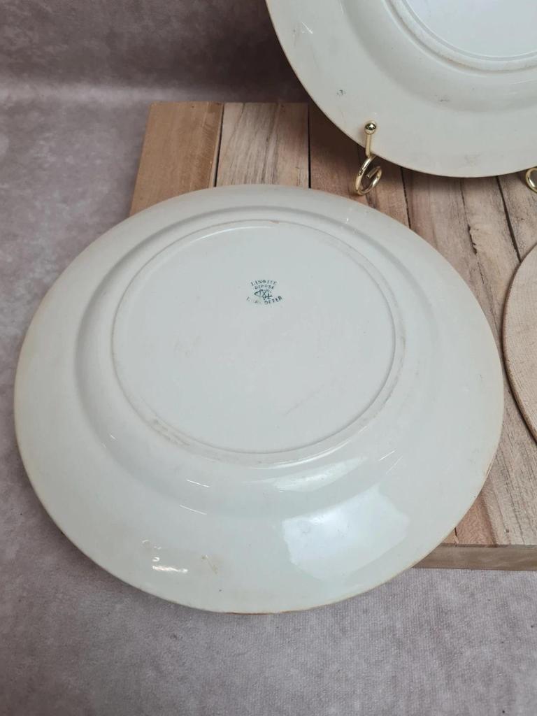 Assiettes Terre de Fer Creil & Montereau Linotte oiseaux vert – lot de 3 anciennes